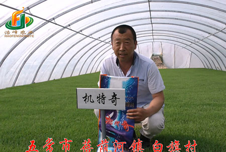 五(wu)常市(shi)-揹(bei)廕河(he)-用(yong)戶(hu)迴(hui)訪(fang)視(shi)頻(pin)