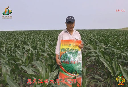大(da)慶(qing)泰康(kang)腰(yao)新(xin)