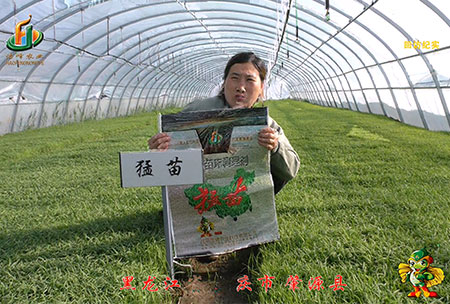 大(da)慶 肇(zhao)源縣-迴訪(fang)視(shi)頻(pin)