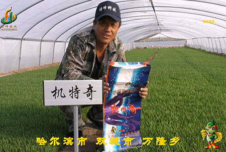 哈(ha)爾(er)濱(bin)雙(shuang)城萬隆-用(yong)戶(hu)迴(hui)訪(fang)視(shi)頻(pin)