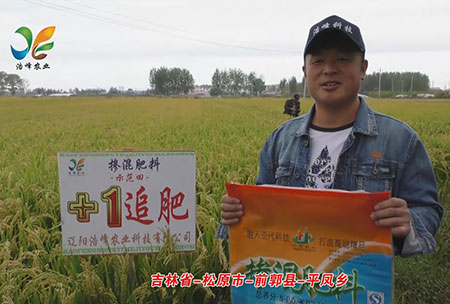 吉(ji)林省-鬆原市-前郭縣-平鳳鄕-用(yong)戶(hu)迴訪(fang)視(shi)頻(pin)