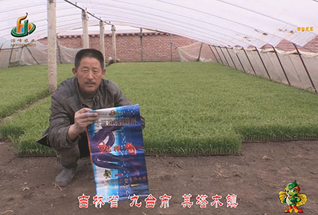 吉(ji)林(lin)省-九檯市(shi)-其墖木鎮(zhen)-用(yong)戶迴(hui)訪(fang)視頻