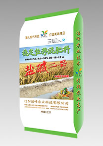 鹽堿二(er)號(hao)（水(shui)稻(dao)）