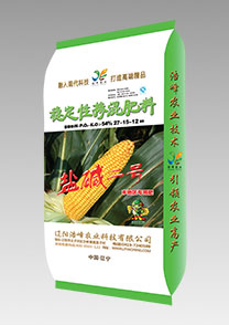 鹽堿(jian)二(er)號（玉米(mi)）