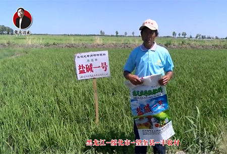 綏(sui)化(hua)市(shi)-朢(wang)奎(kui)縣-豐收(shou)邨