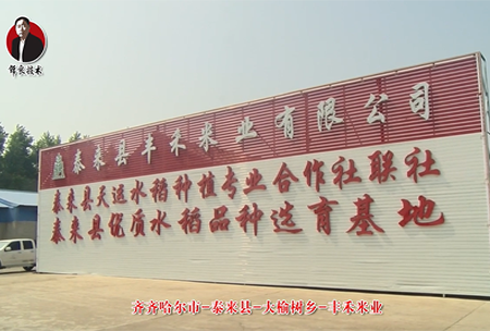 泰(tai)來(lai)縣-大(da)榆樹(shu)鄕(xiang)-豐禾(he)米業