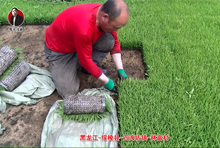 綏稜-四海店(dian)鎮(zhen)