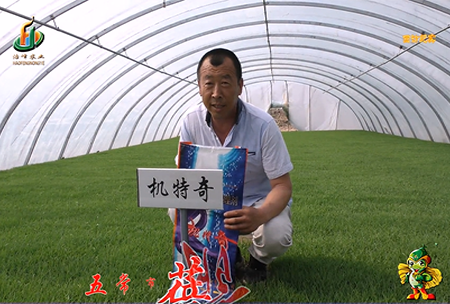 五(wu)常(chang)市 蓓(bei)廕(yin)河(he)1