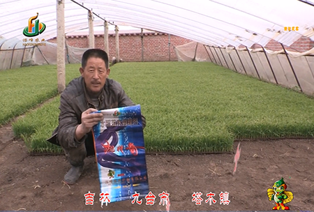 吉(ji)林(lin)其(qi)墖(ta)木(mu)鎮(zhen)1