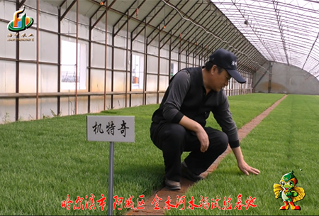 哈(ha)爾濱(bin)金水(shui)河基(ji)地0